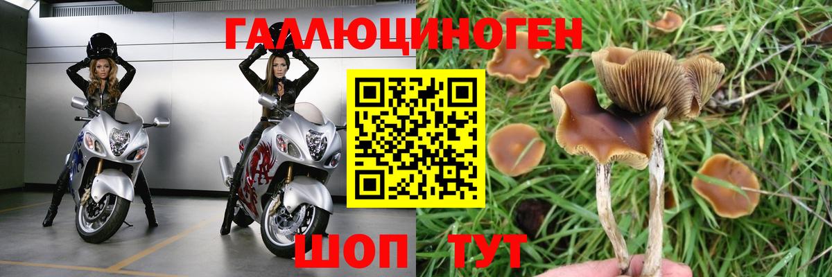 Псилоцибиновые грибы ЛСД Кимры
