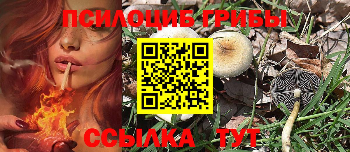 Псилоцибиновые грибы ЛСД  Псилоцибиновые грибы Psilocybine cubensis  Вход с VPN  Кимры 